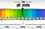 Suda Ph Nedir? İçme suyu Ph Seviyesi Kaç Olmalıdır?